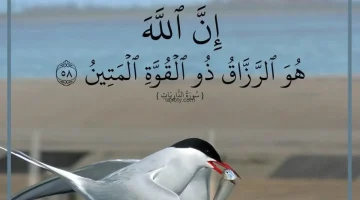 الله هو الرزاق