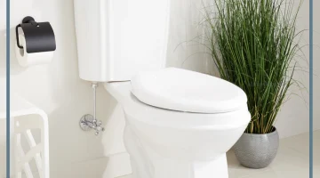 المرحاض في المنام