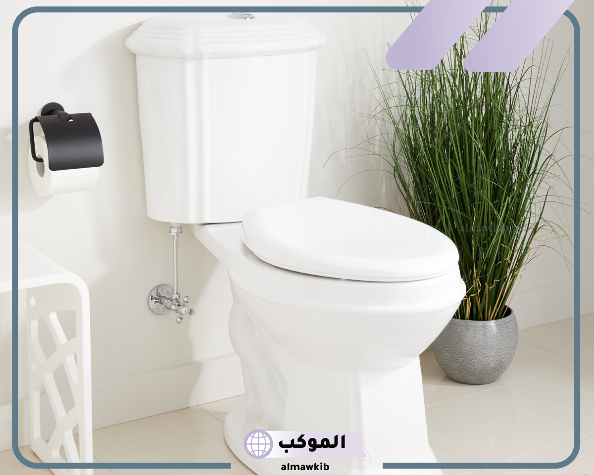 رؤية المرحاض في المنام للعزباء