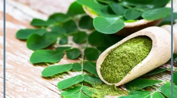 المورينجا للشعر