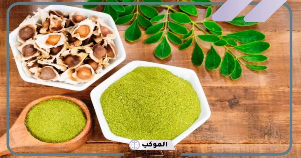 تجربتي مع المورينجا للشعر لحمايته من التلف 5 طريقة استخدام عشبة المورينجا للشعر