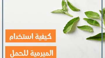 الميرمية للحمل