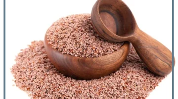 بذور القاطونة