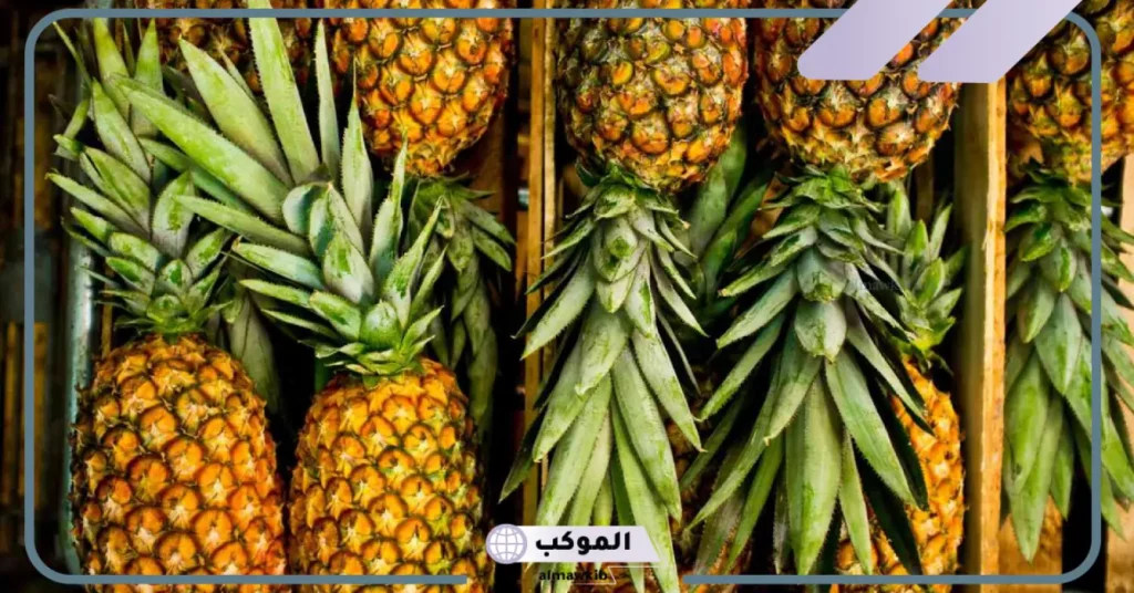تفسير حلم الأناناس للعزباء