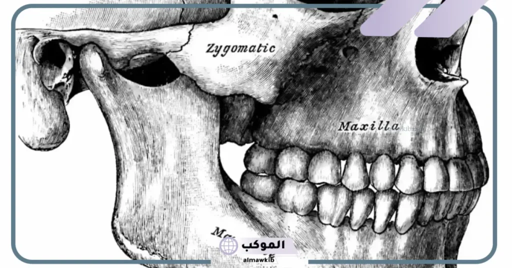 هل عملية الفك تغير الشكل؟