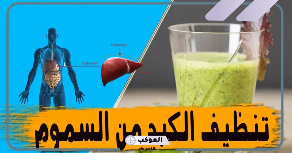 تجربتي مع تنظيف الكبد من السموم تنظيف 6 تنظيف الكبد من السموم بالاعشاب