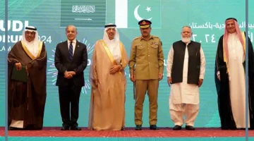 تطوير الاستثمار