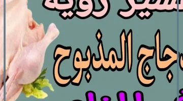 تفسير حلم دجاج مذبوح ومنظف