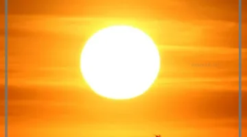 تفسير حلم يوم القيامة