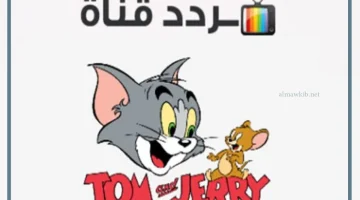 توم آند جيري