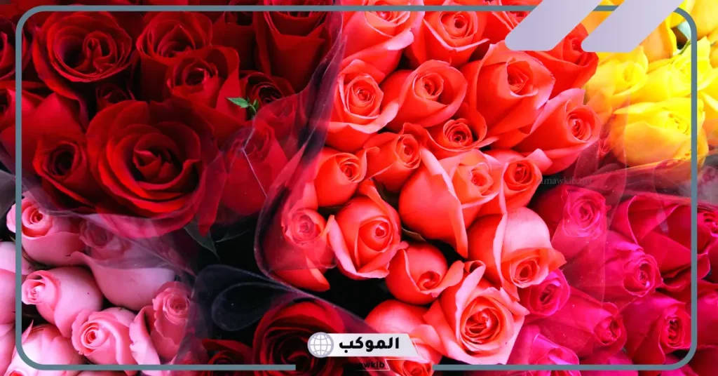 كلام عن الورد قصير