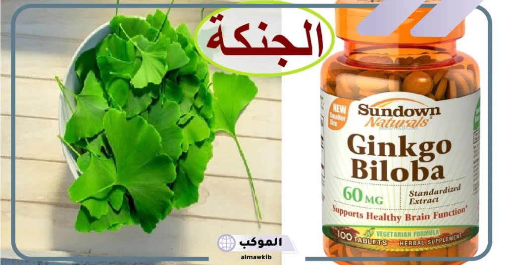 متى يبدأ مفعول حبوب الجنكة
