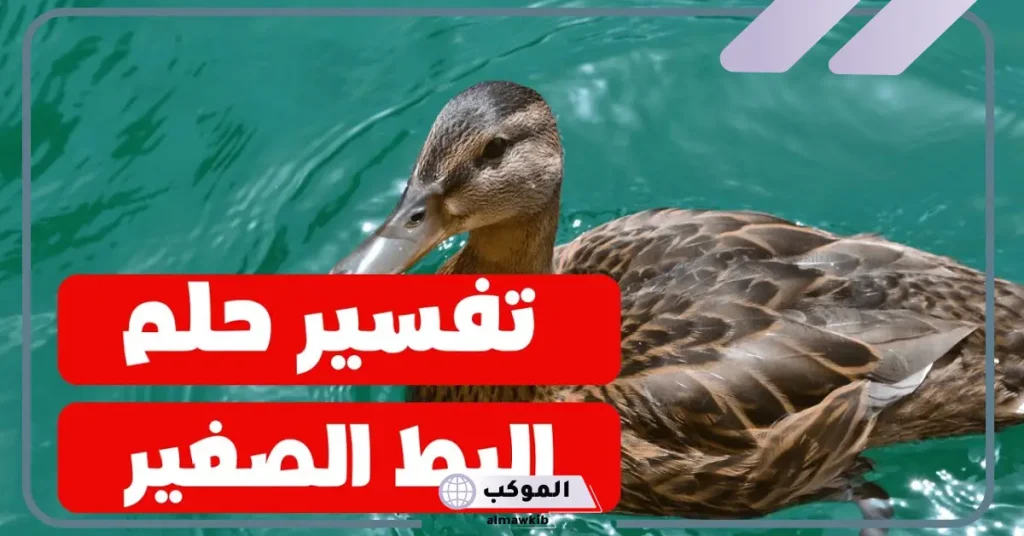 رؤية البط في المنام للمتزوجة