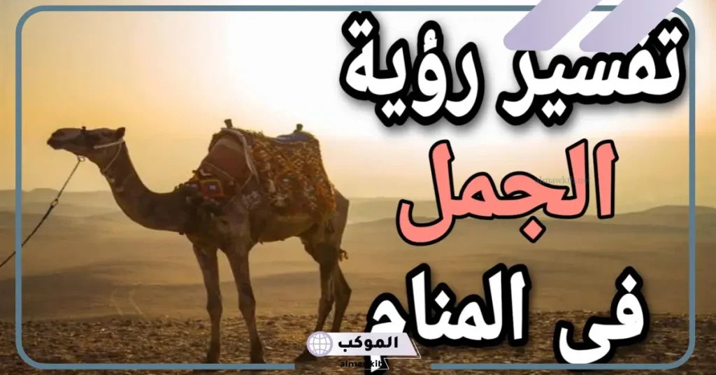 تفسير حلم الجمل في المنزل لابن سيرين للعزباء والمتزوجة 5 رؤية الجمل في المنام للمتزوجة