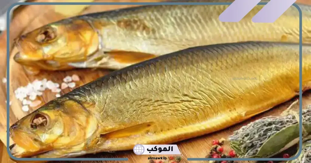 تفسير ابن سيرين لرؤية الرنجة في المنام للعزباء والمتزوجة 5 ما معنى الرنجة في المنام للمتزوجة