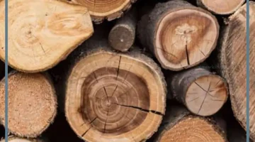 حلمت بالخشب