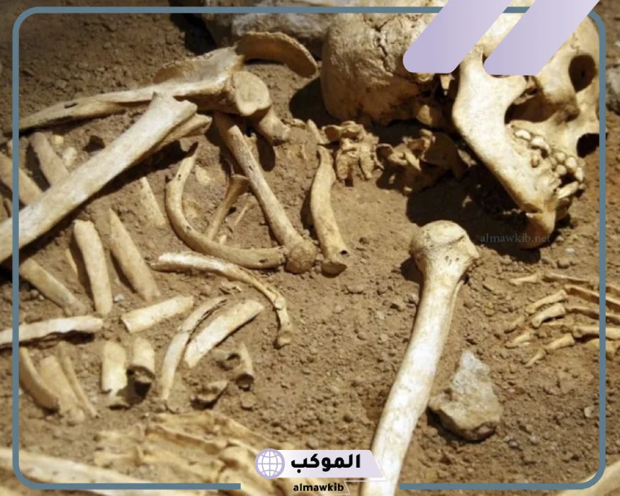 رؤية عظام الأنسان والحيوان فى المنام للإمام الصادق