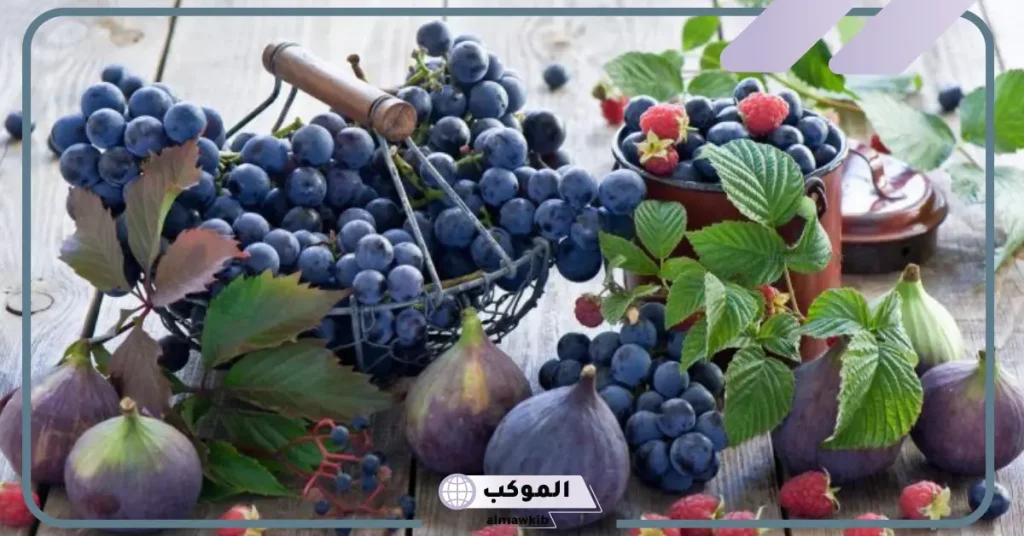 تفسير حلم أكل التين للعزباء