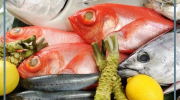 رؤية الأسماك رزق