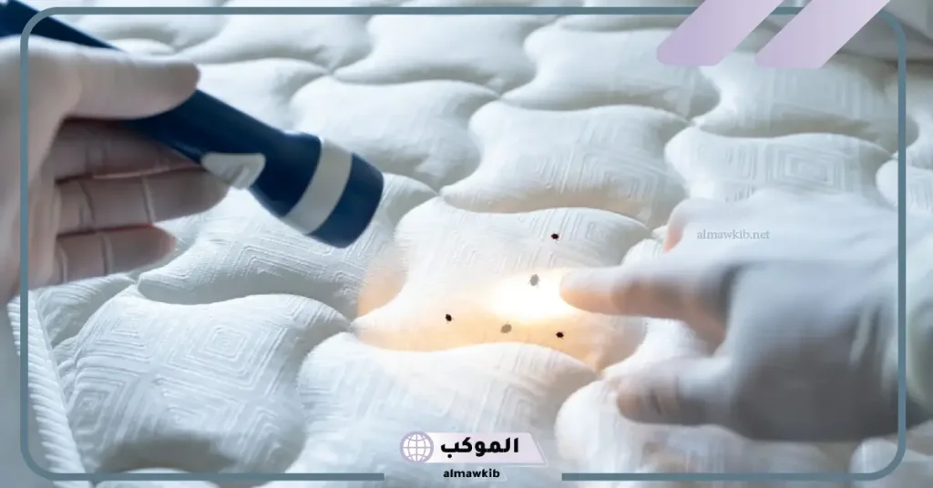 التفسير الصحيخ للبق في المنام