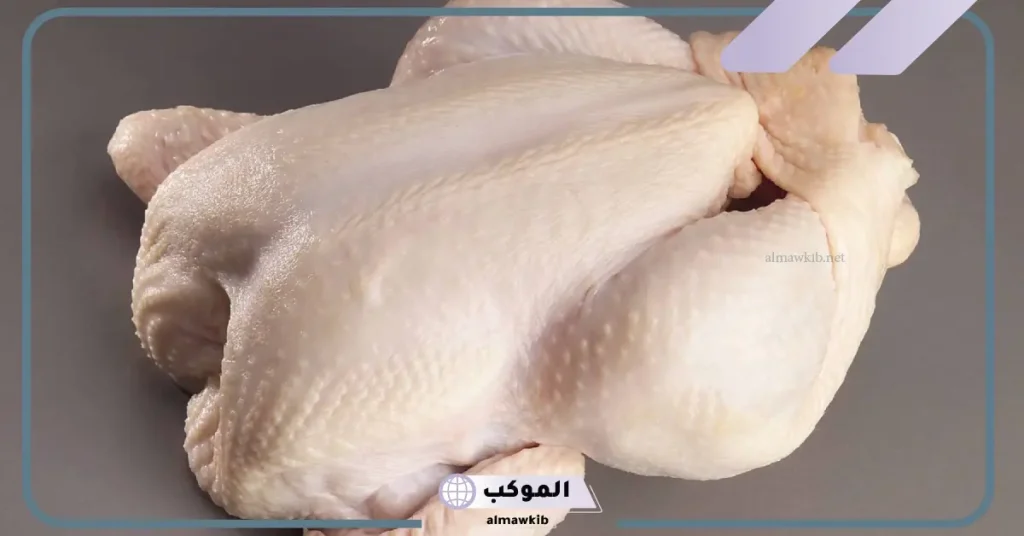 تفسير حلم الديك الرومي في المنام وعلاقته بانتهاء الفقر 6 رؤية أنثى الديك الرومي في المنام