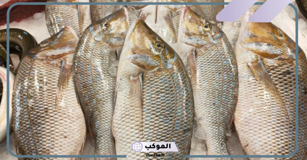 تفسير حلم السمك الميت للحامل   