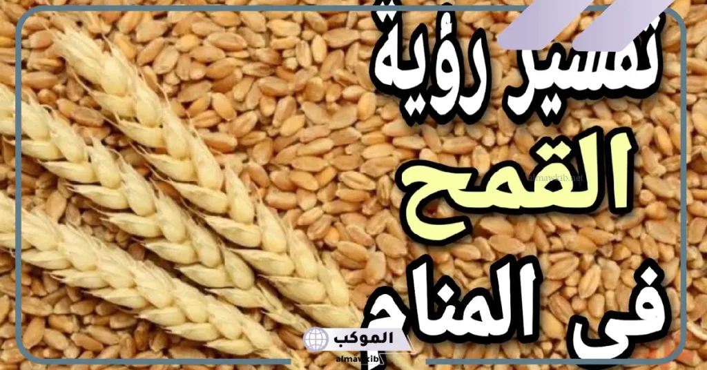 تفسير حلم رؤية القمح في المنام للعزباء والمتزوجة لابن سيرين 6 تفسير حلم رؤية القمح في المنام للمطلقة