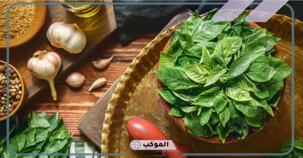 تفسير حلم أكل الملوخية في المنام لابن سيرين