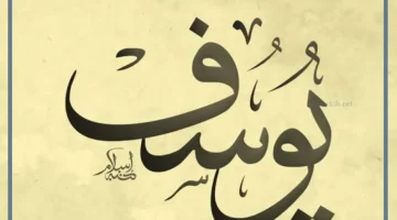 رؤية النبي يوسف