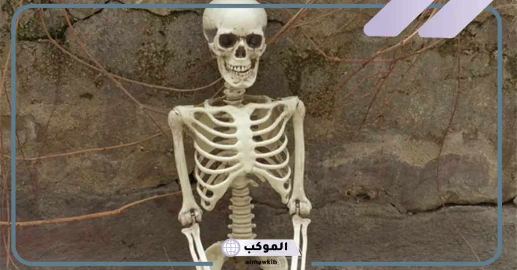 تفسير رؤية عظام في المنام للعزباء