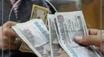 زيادة المعاشات