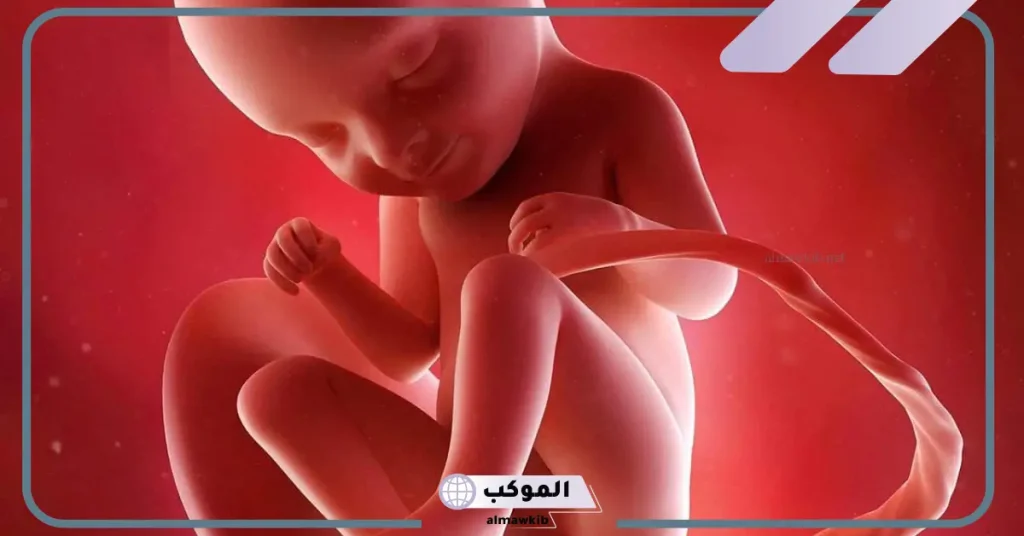 أسباب زيادة الماء حول الجنين في الشهر التاسع