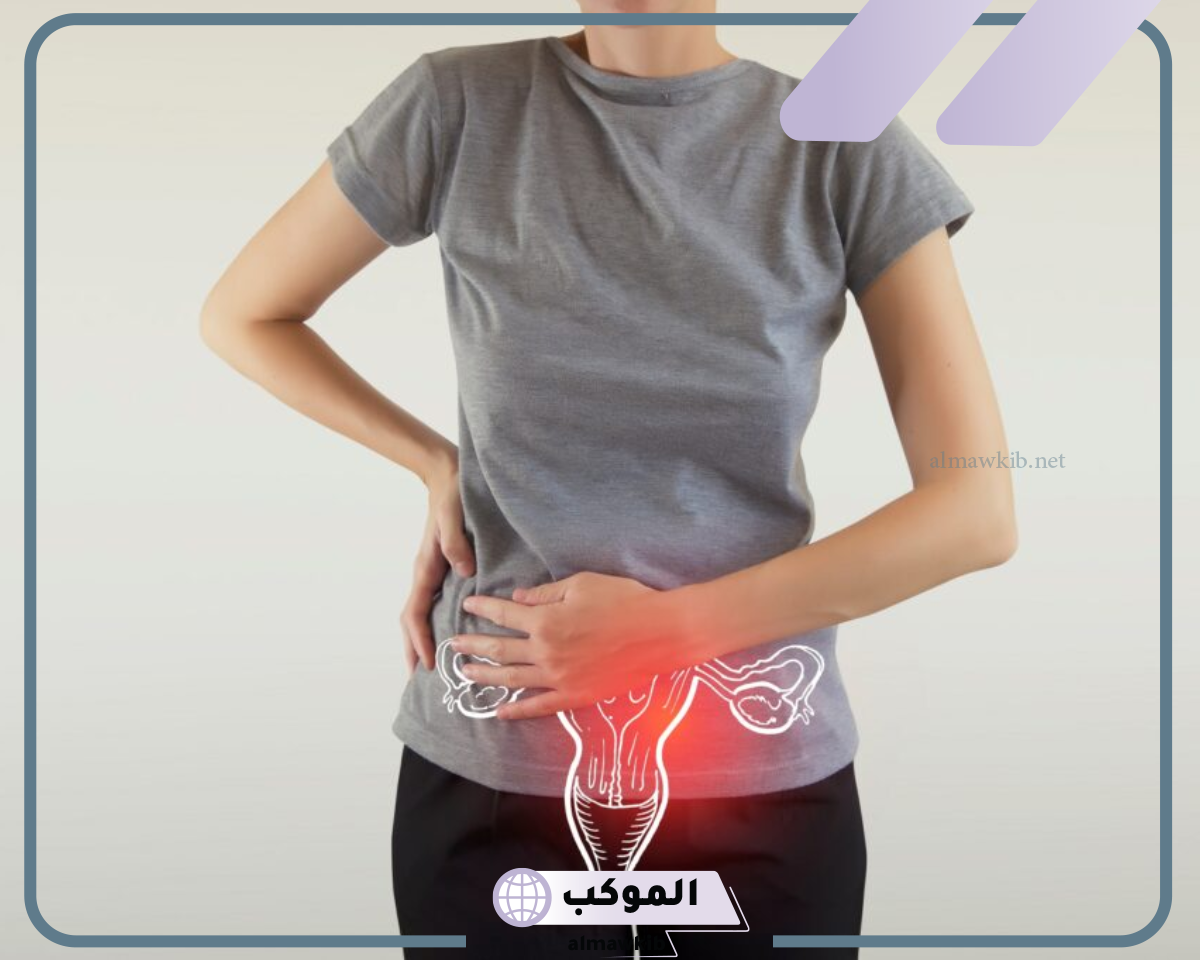 تجربتي مع سماكة بطانة الرحم عالم حواء