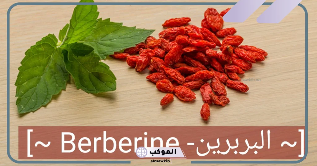 تجربتي مع البربرين لعلاج مقاومة الأنسولين 6 البربرين لعلاج السكر