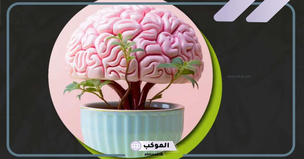 تجربتي مع حبوب الجنكة للتوحد