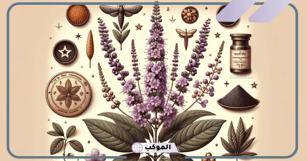 تجربتي مع عشبة المدينة لتنظيف الرحم