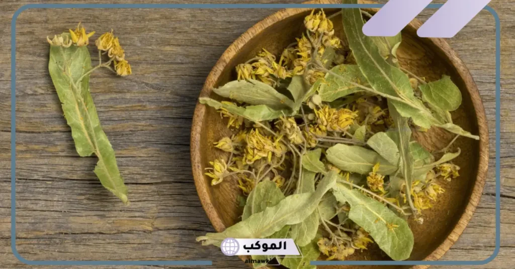 تجربتي مع عشبة القديسين لعلاج نوبات الهلع 6 عشبة القديسين جابر القحطاني