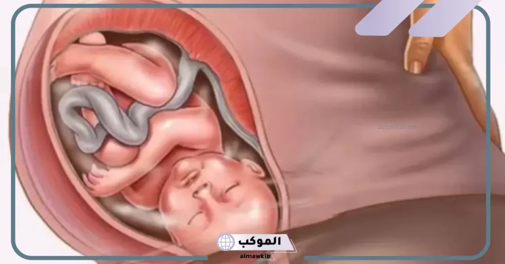 أسعار الدكتور بندر العبدالكريم