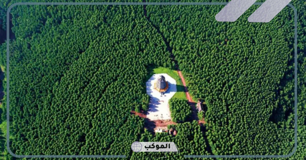 مبادرة بيئية عملاقة.. تفاصيل مشروع غابات جازان الجديد في السعودية وأهم أهدافه ومميزاته 5 تعرف على تفاصيل مشروع غابات جازان السعودية