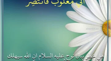 فائدة قول ربي اني مغلوب فانتصر