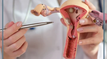 فطريات المهبل