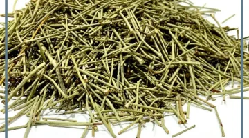 فوائد الارطا