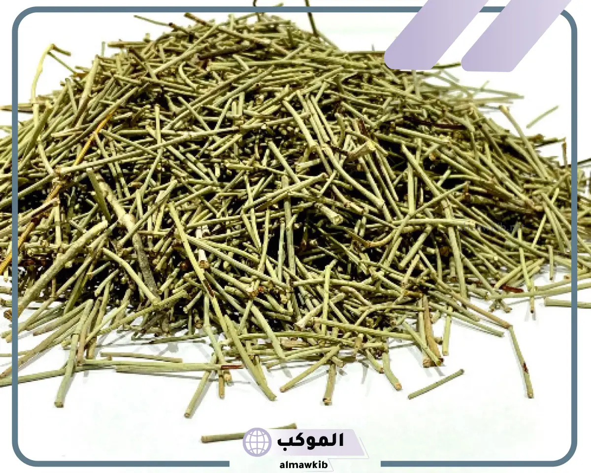 تجربتي مع الارطا للتضييق والقولون
