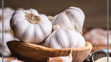 فوائد الثوم