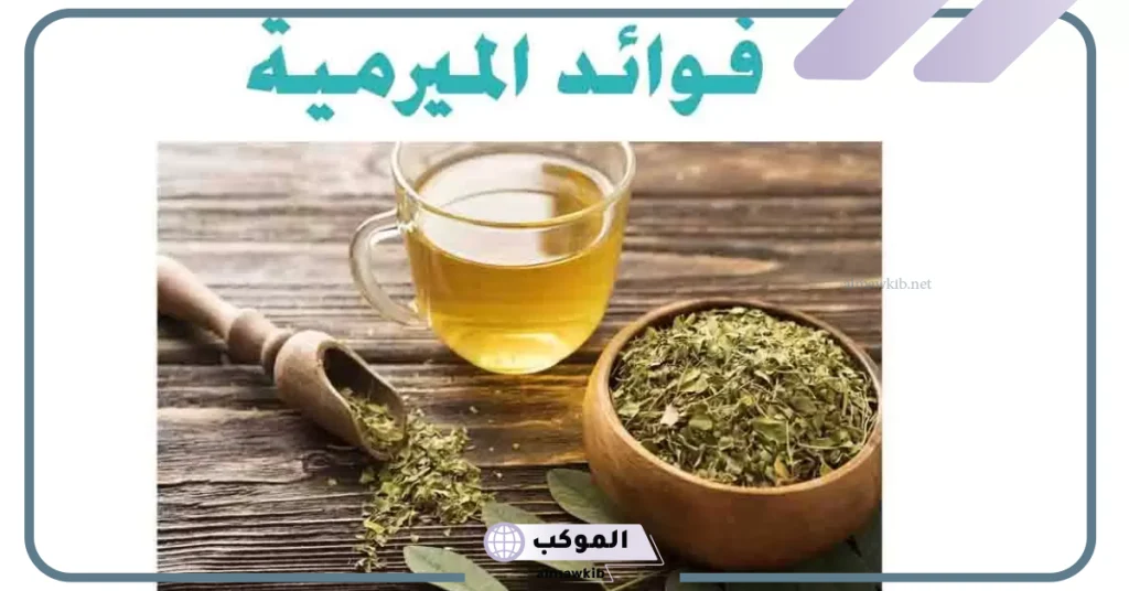 تجربتي مع الميرمية للحمل والنتيجة وفوائد تناولها يوميًا 5 كيفية استعمال الميرمية للنساء