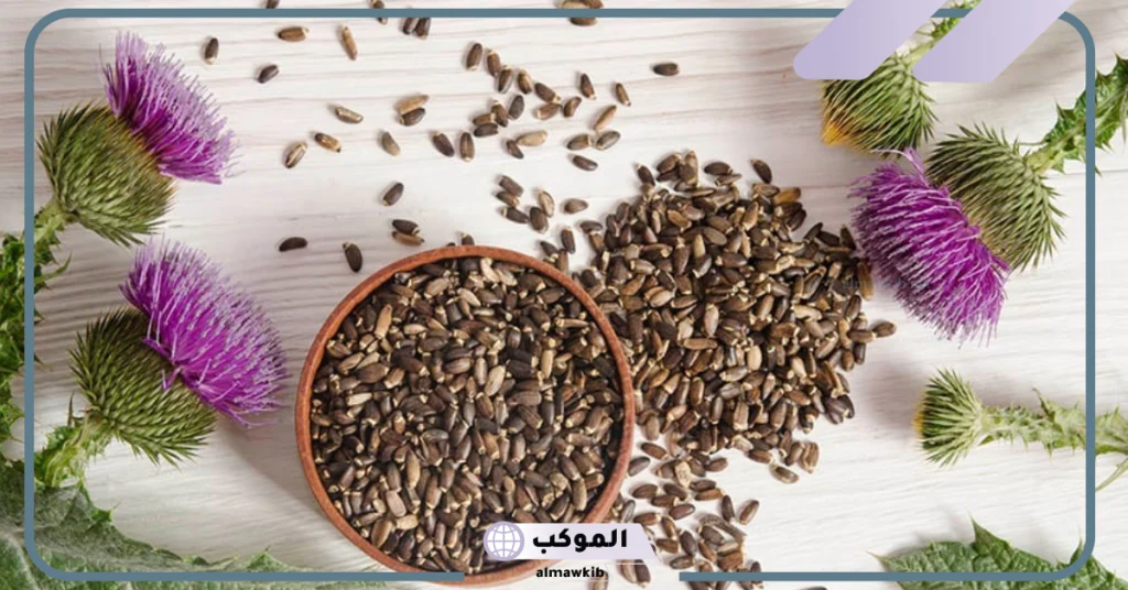 تجربتي مع حليب الشوك وفوائده للكبد وطريقة الاستخدام 5 كبسولات حليب الشوك في الصيدليات