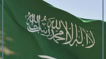 قرار بتوطين مهن جديدة