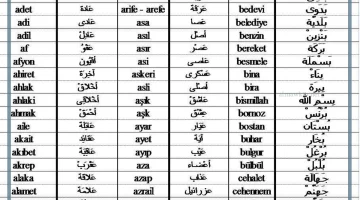 كلمات تركية