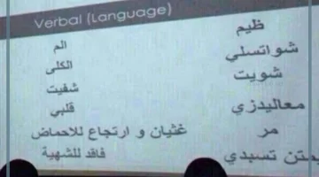 كلمات قصيمية