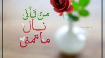 كلمات معبرة